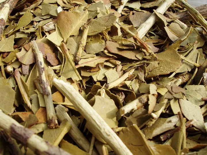 Proceso de elaboración de la yerba mate en el secadero